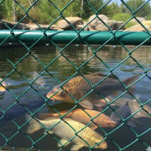 tela alambrado em São José dos Campos